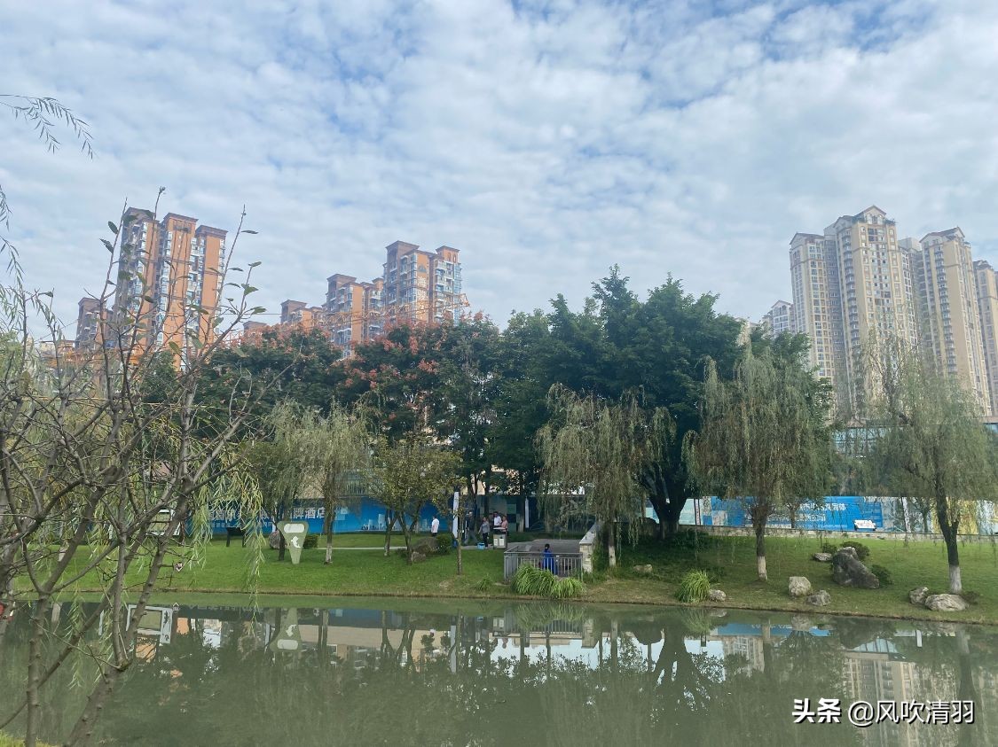 郫都区大型医院,郫都区最繁华商圈