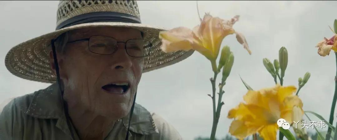 墨西哥贩毒故事,墨西哥往事解析