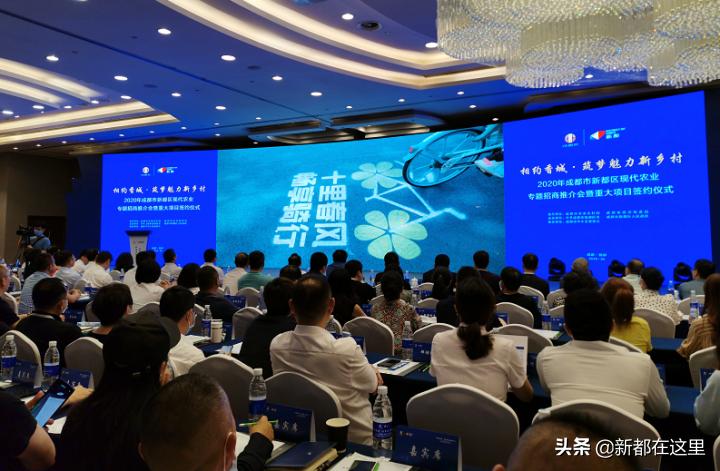 关注成都的发展,新都关注