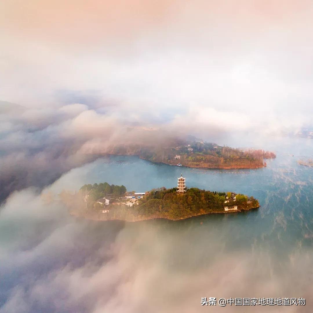 陕西水果第一大省有什么水果,陕西盛产水果吗