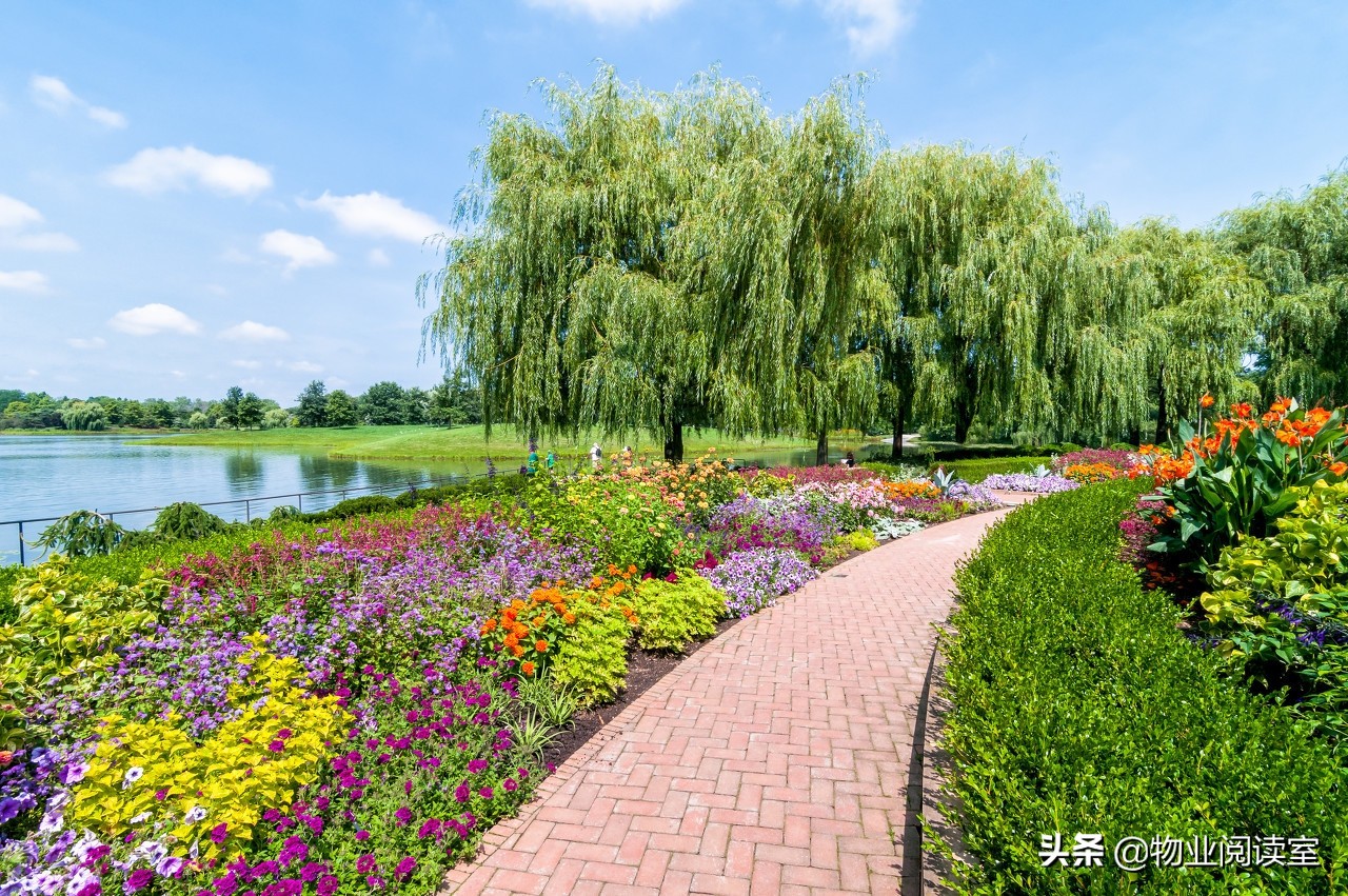 爱护园林绿化标语,爱护绿地的宣传标语绘画