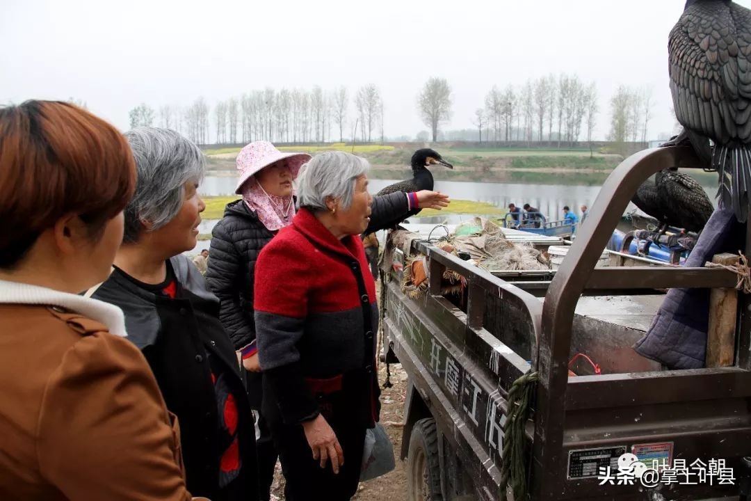 叶县这位姑娘火了！靠网络直播捕鱼，成功吸粉200多万！