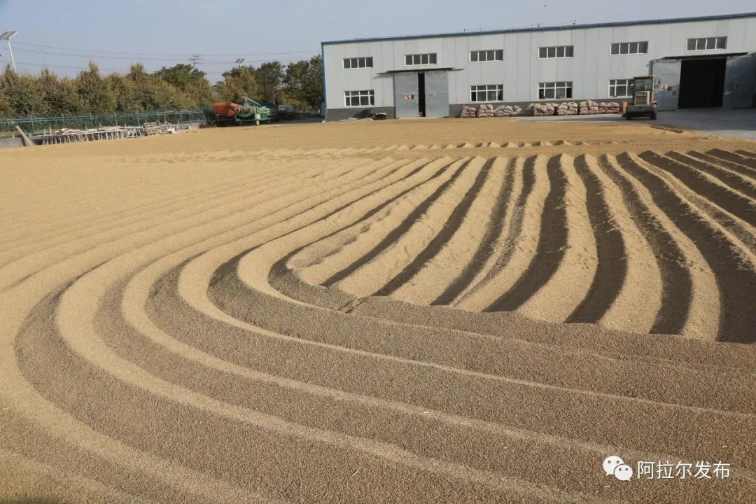 持续推动大众创业万众创新的理由,吹响大众创业万众创新冲锋号