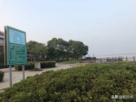 阳澄湖大闸蟹为什么能独占鳌头,阳澄湖大闸蟹上岸