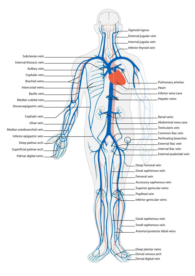 「伤情研究所」名宿告别赛都能出现的腿筋拉伤,到底是什么玩意?