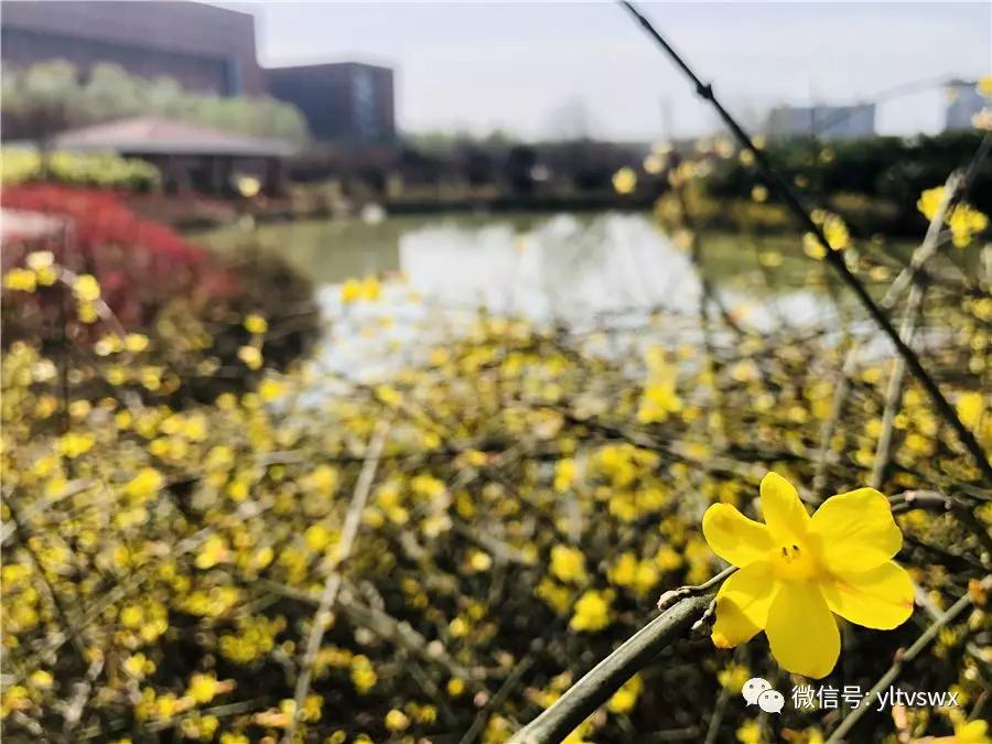 杨凌现状,杨凌最新照片