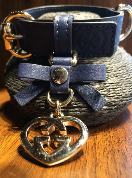 生活在宠物天堂的动物,在天堂的猫狗