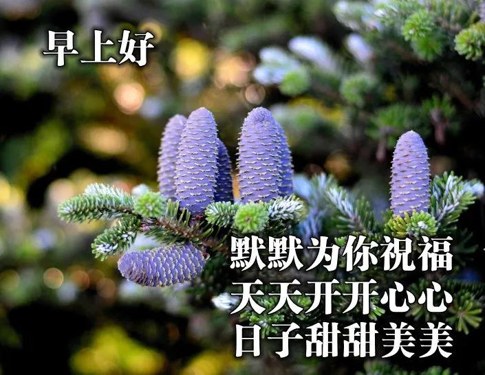 早安佛祖祝福带字美图,最新早安带字祝福图片