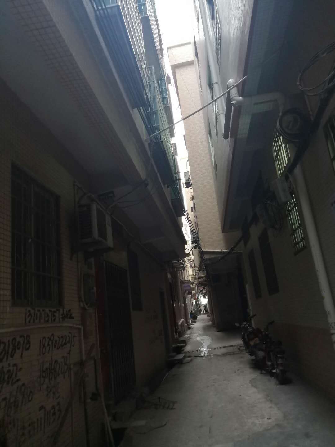 番禺城中村探访视频,广东广州番禺礼村