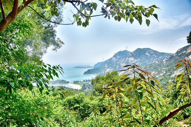 那琴湾地质海洋公园夜空,那琴湾海边