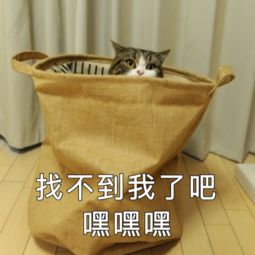 你关心的几个问题,你关心的辐射问题