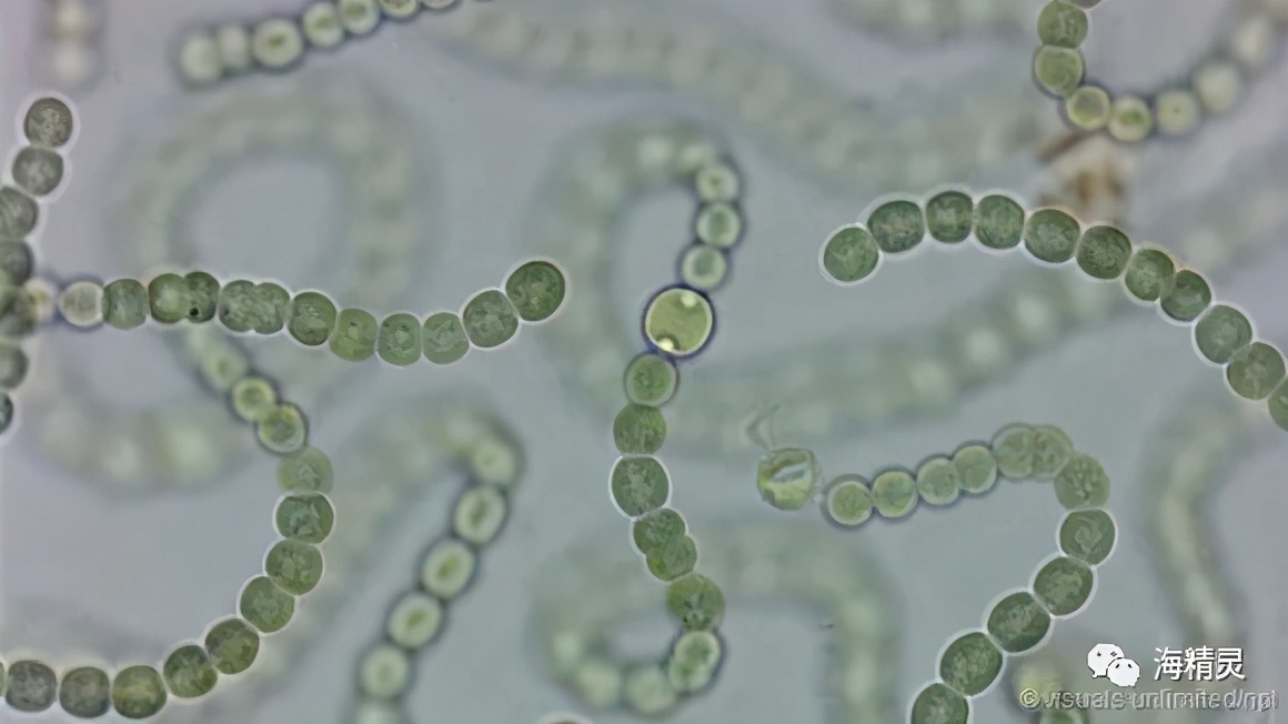 怎么才能从众人中脱颖而出,如何让自己从人群中脱颖而出