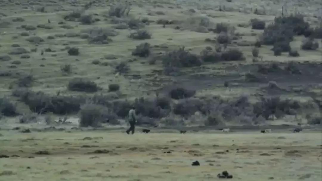 地球的另一端长什么样,地球另一端的意思