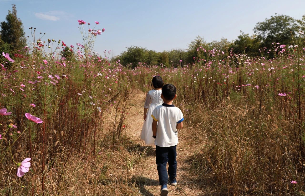 山东王屋湖国家湿地公园,山东最美湿地公园