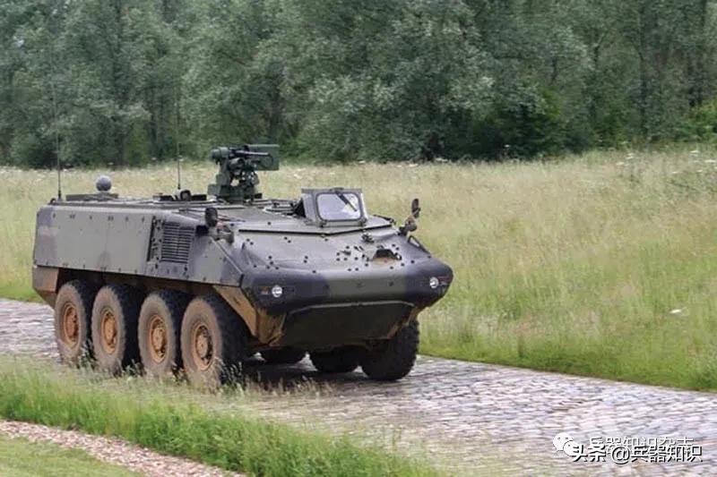 西班牙皮兰哈轮式步兵战车,皮兰哈轮式装甲车