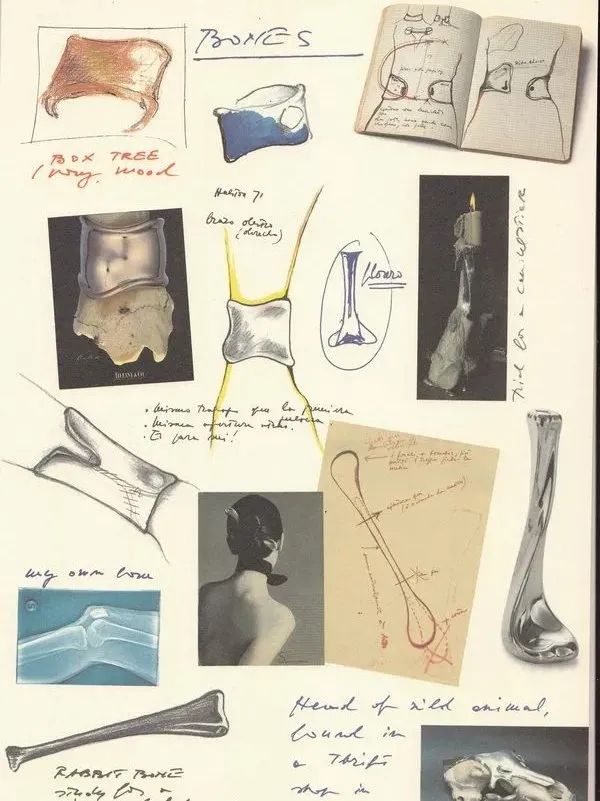 致命女人为什么只更新了一集,致命女人更新了吗