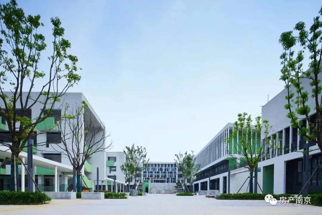 神兽归笼新闻,神兽归笼最新信息