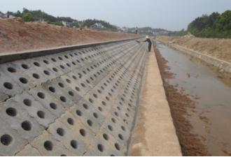 青蛙住“宾馆”，农田会呼吸，这个村发生了啥？