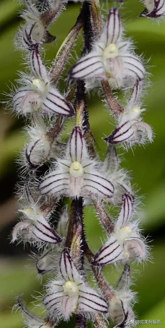 六一相册影集,六一照片专场