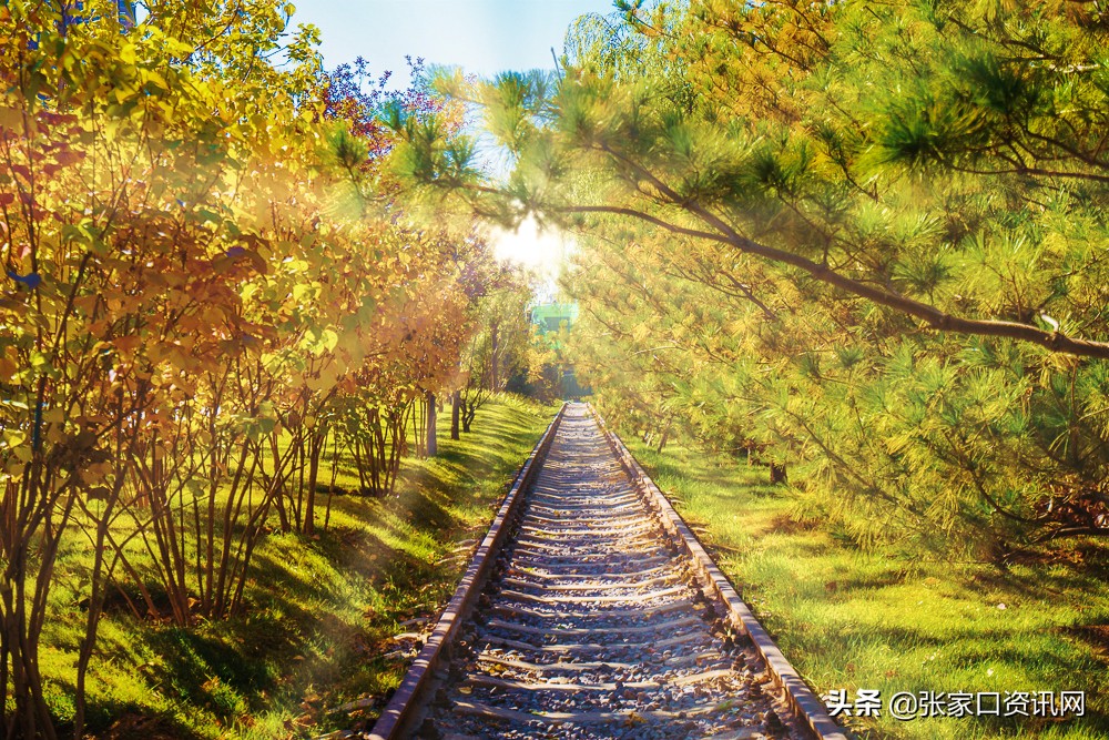 张家口新开的主题公园,张家口大好河山景观区夜景