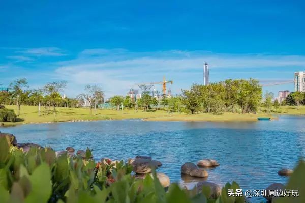 深圳白天游玩公园景点推荐,深圳红树林公园日落