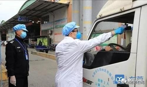 同比上升50%！润丰集团确保供港蔬菜供应，助力全国抗疫！