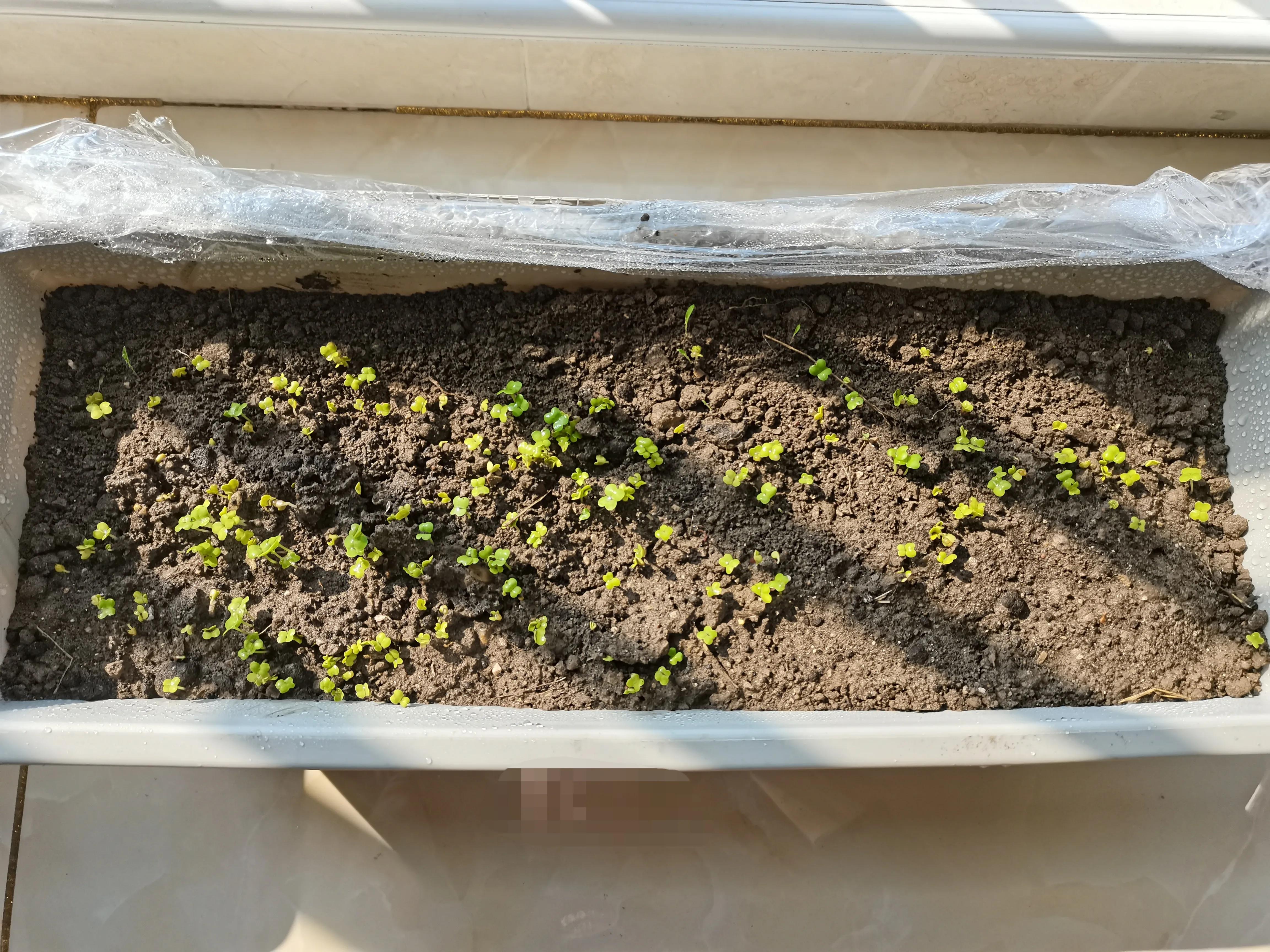 不要放弃农村的宅基地,不要放弃农村自己的宅基地