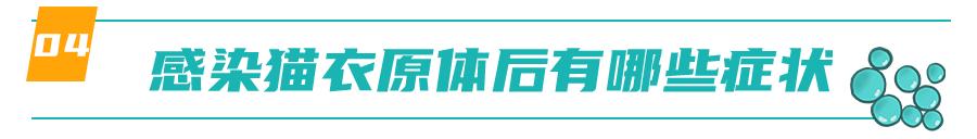 怀孕的母猫得猫瘟没流产,怀孕一个月的猫感染猫瘟会流产吗