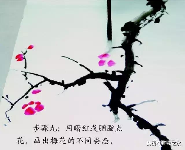 董寿平国画梅花老树干的画法,国画梅花花瓣的画法视频教程