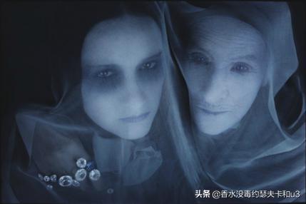 芦丹氏玫瑰花香,芦丹氏木质玫瑰