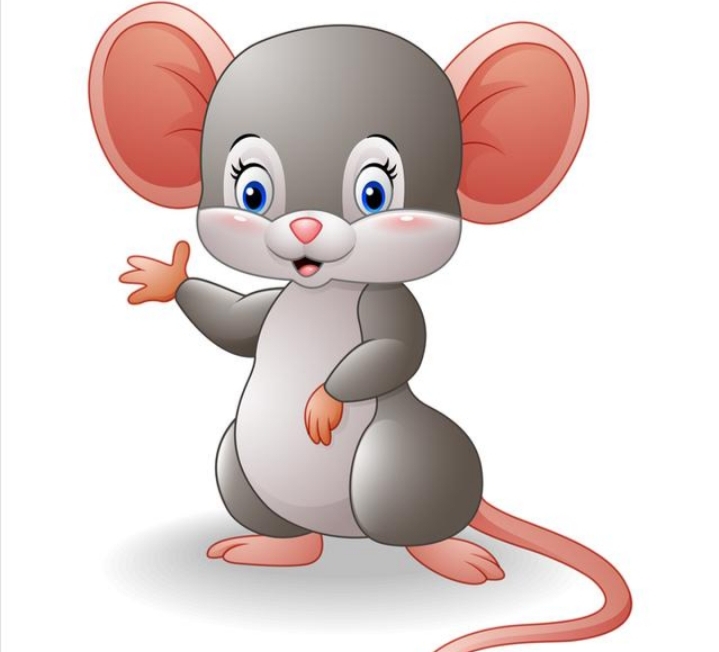 老鼠为什么在农村越来越少,农村常见老鼠图片