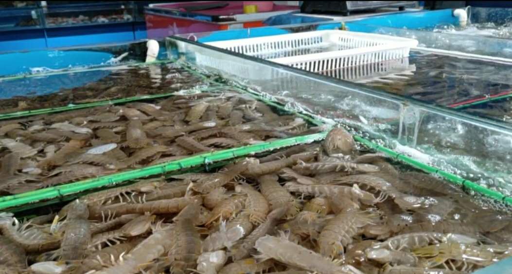 北京海鲜市场现状,海鲜市场冷清