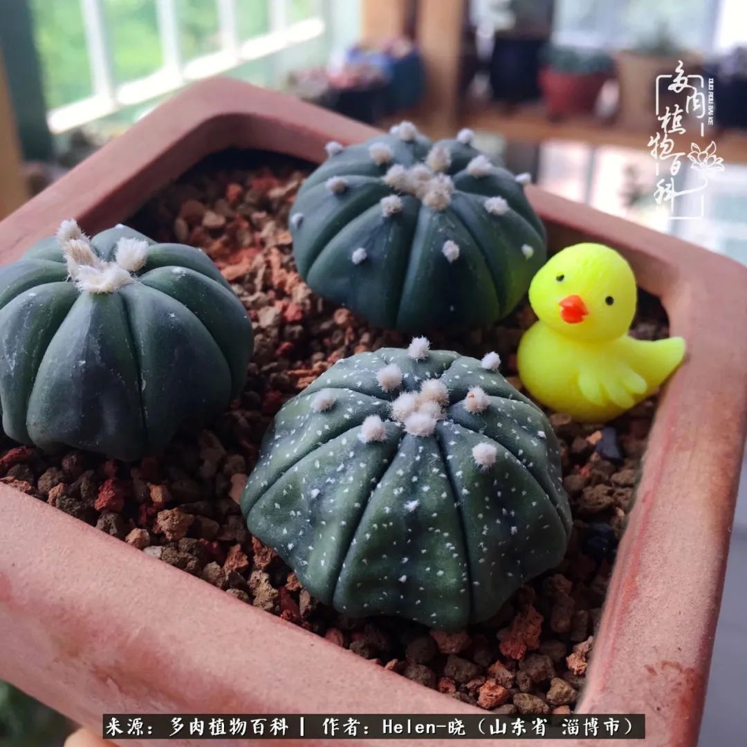 人到中年温暖如初,人到中年岁月静好