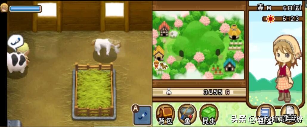 牧场物语最全攻略,牧场物语攻略经典