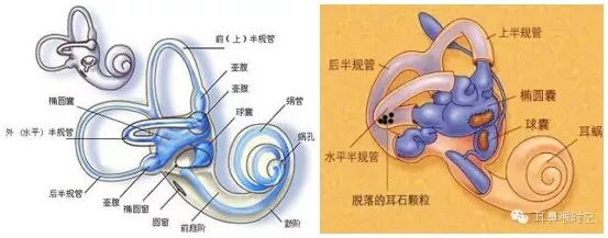 四大名药治眩晕症,哪家医院治疗眩晕症比较好