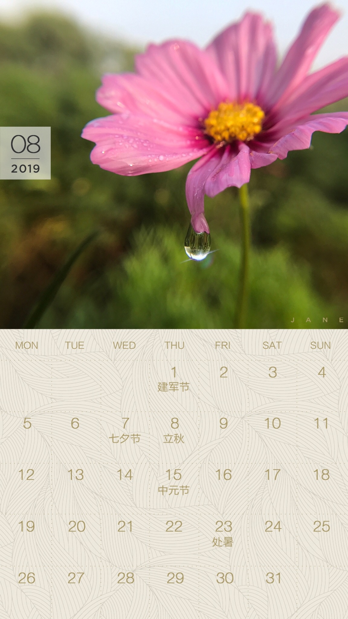 送你一张凉快动态壁纸,大暑送你清凉壁纸