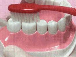 有效美白牙齿的小方法,5大美白牙齿的小窍门