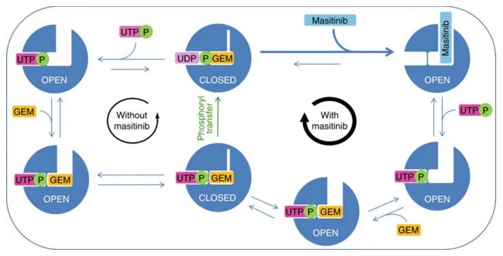 马赛替尼适应症 (马赛替尼治疗als最新研究动态)