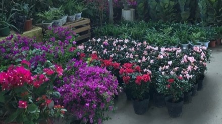 苏州木渎古镇美景图片,姑苏木渎古镇美景