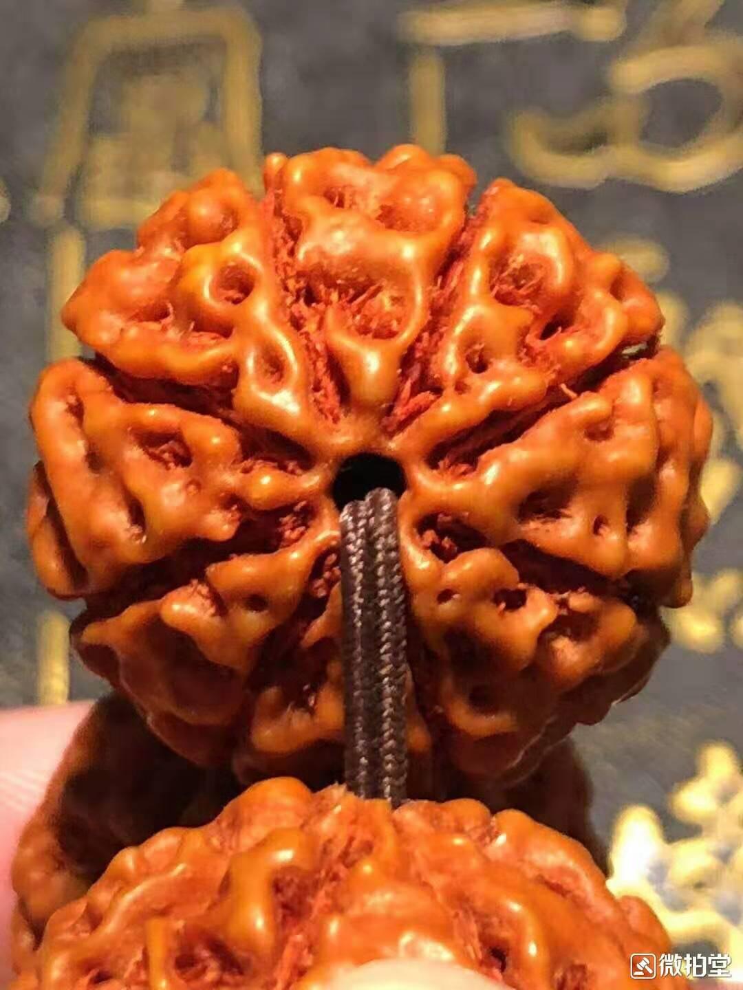 大小金刚菩提子区别图片,对金刚的认识和方法