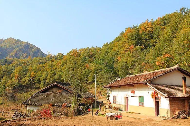 入驻盒马开品牌旗舰店,入驻盒马集市有什么条件
