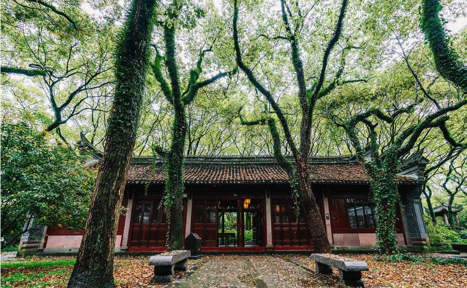 活泼的，生动的，孩子们眼中的天一阁