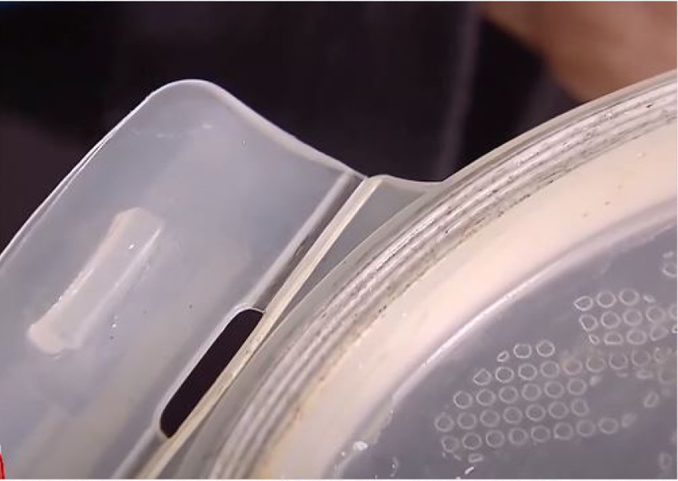 儿童饭盒密封圈发霉为什么,儿童饭盒藏细菌