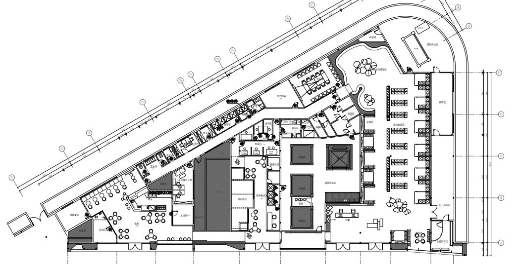 欢迎同行入内,这是一家为宠物店而开的宠物