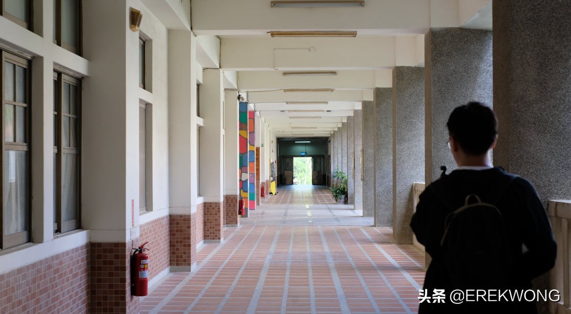 广州游玩的小岛,广州海岛好去处