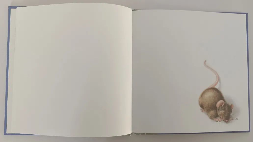 绘本3-6岁经典绘本米老鼠,适合小老鼠的绘本