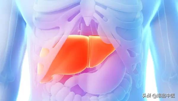 全息望诊大全视频,浅议生物全息律与中医望诊