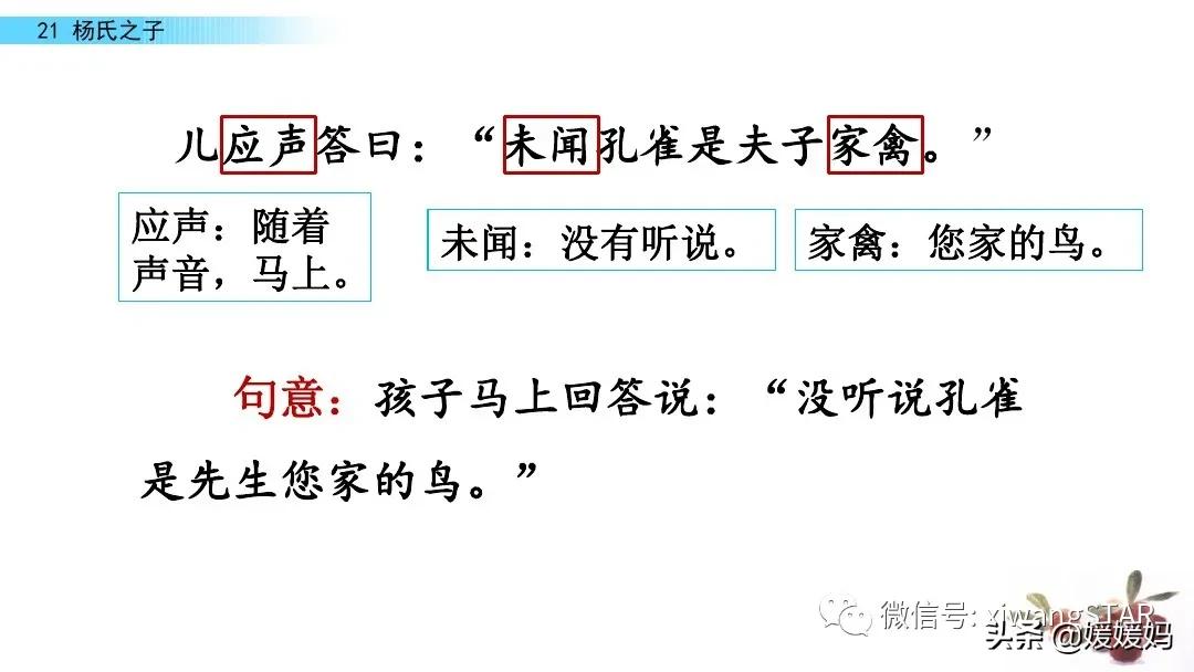 部编版五年级语文21杨氏之子教案,五年级下册语文21课杨氏之子笔记