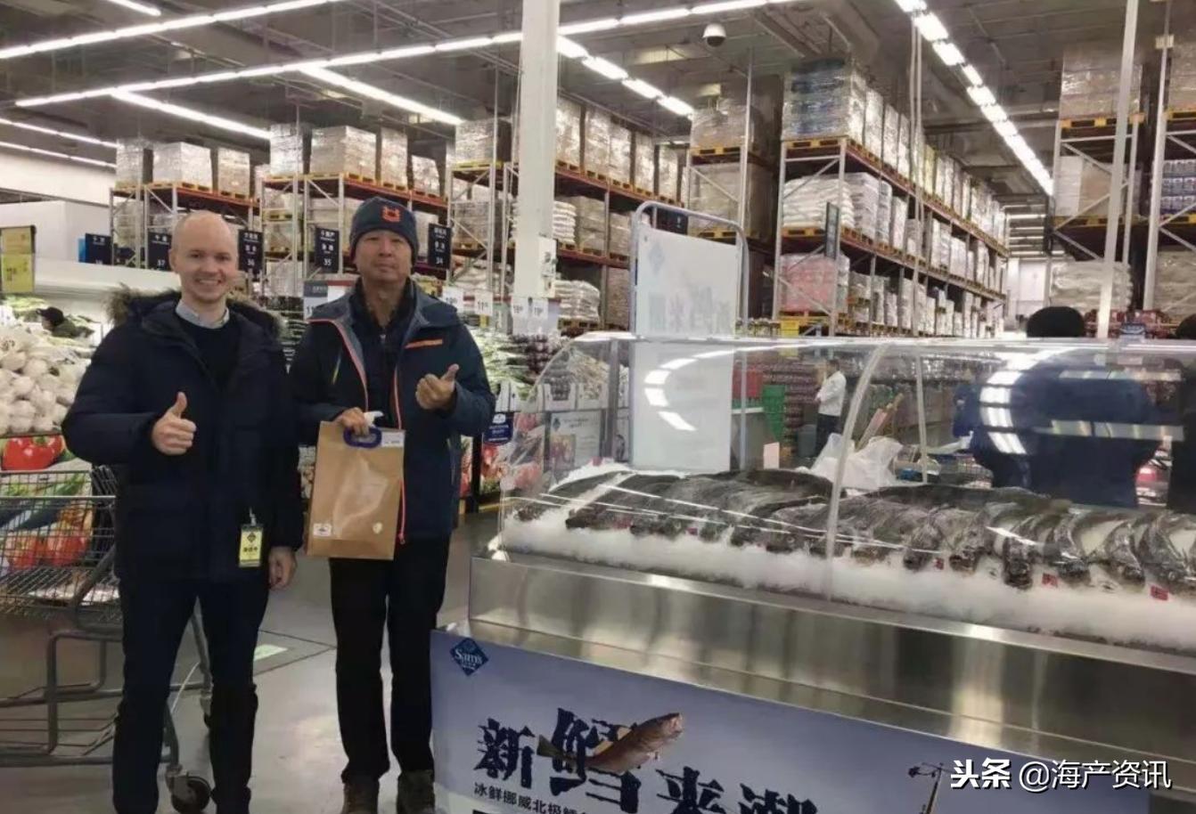 挪威冰冻北极鳕鱼清蒸视频,冰鲜挪威大西洋鲑鱼三文鱼