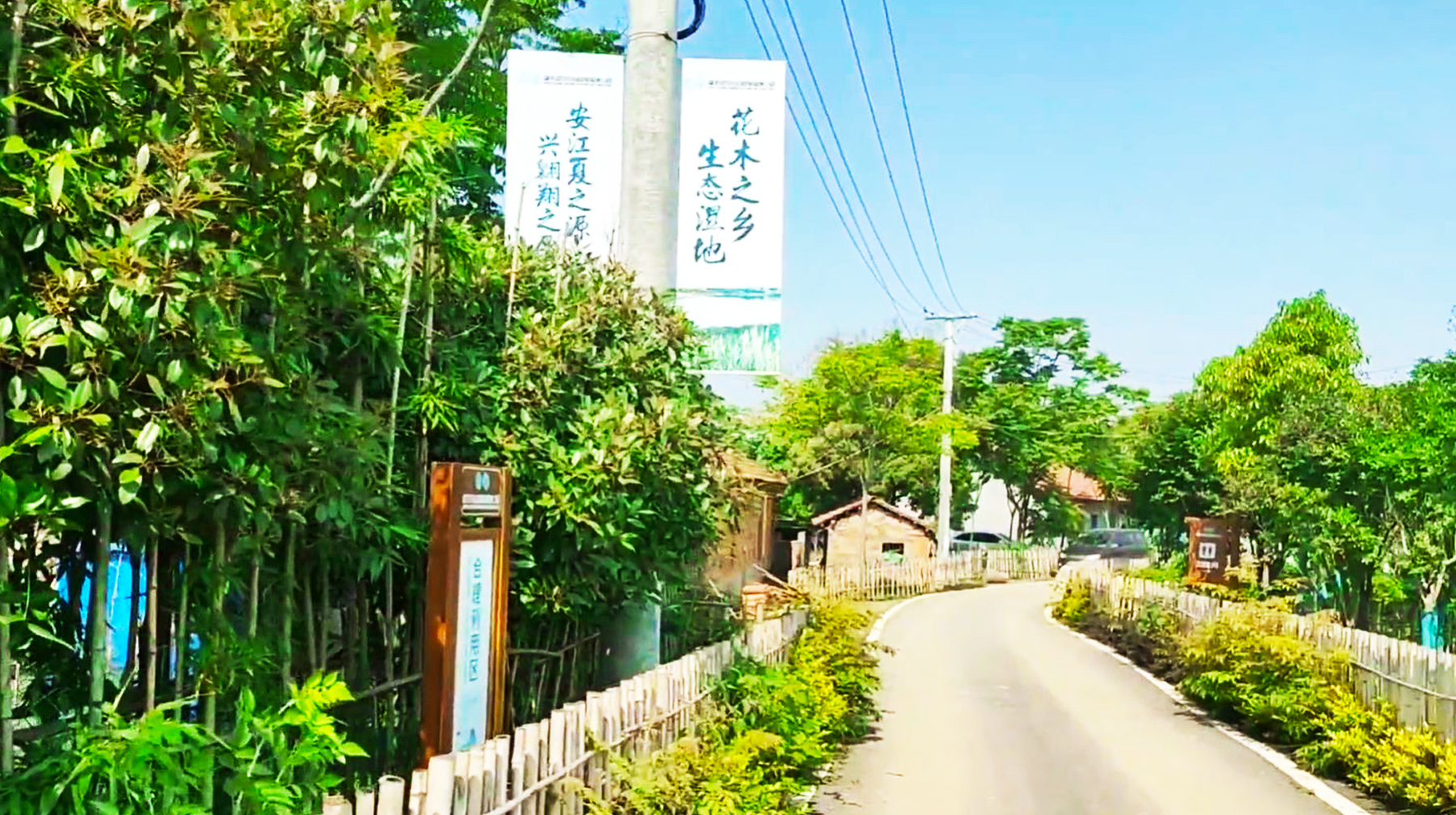 武汉绝美湿地公园,武汉东湖湿地公园景点